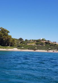Koyun Adası
