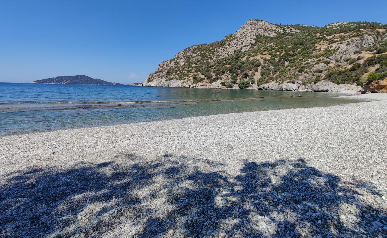 Paralia Tsopela'in fotoğrafı hafif çakıl yüzey ile