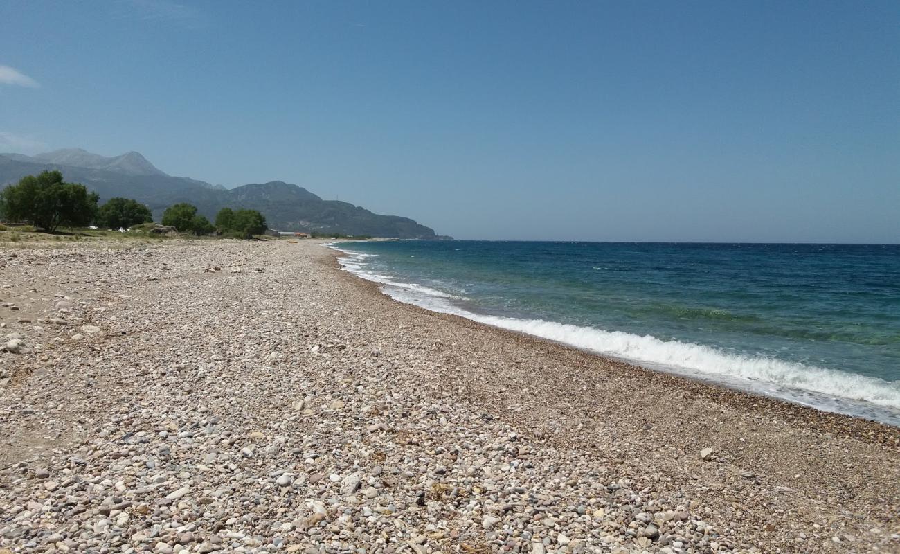 Petalides beach II'in fotoğrafı bej çakıl yüzey ile