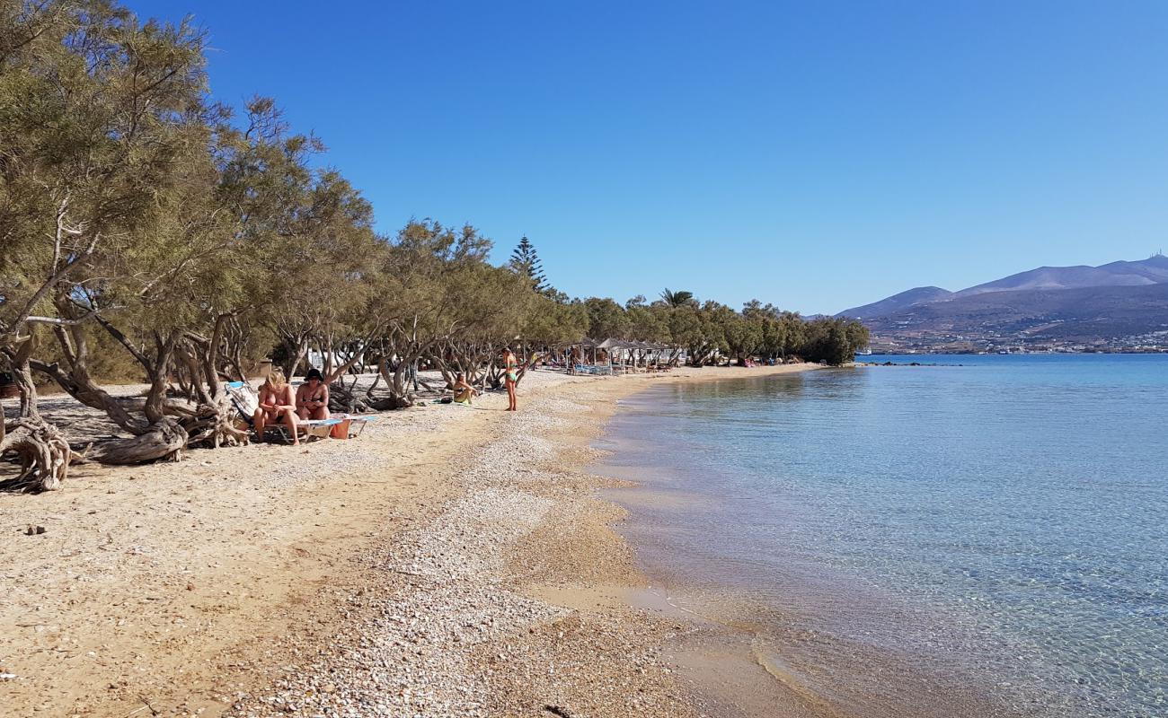 Second Psaraliki'in fotoğrafı kahverengi kum yüzey ile