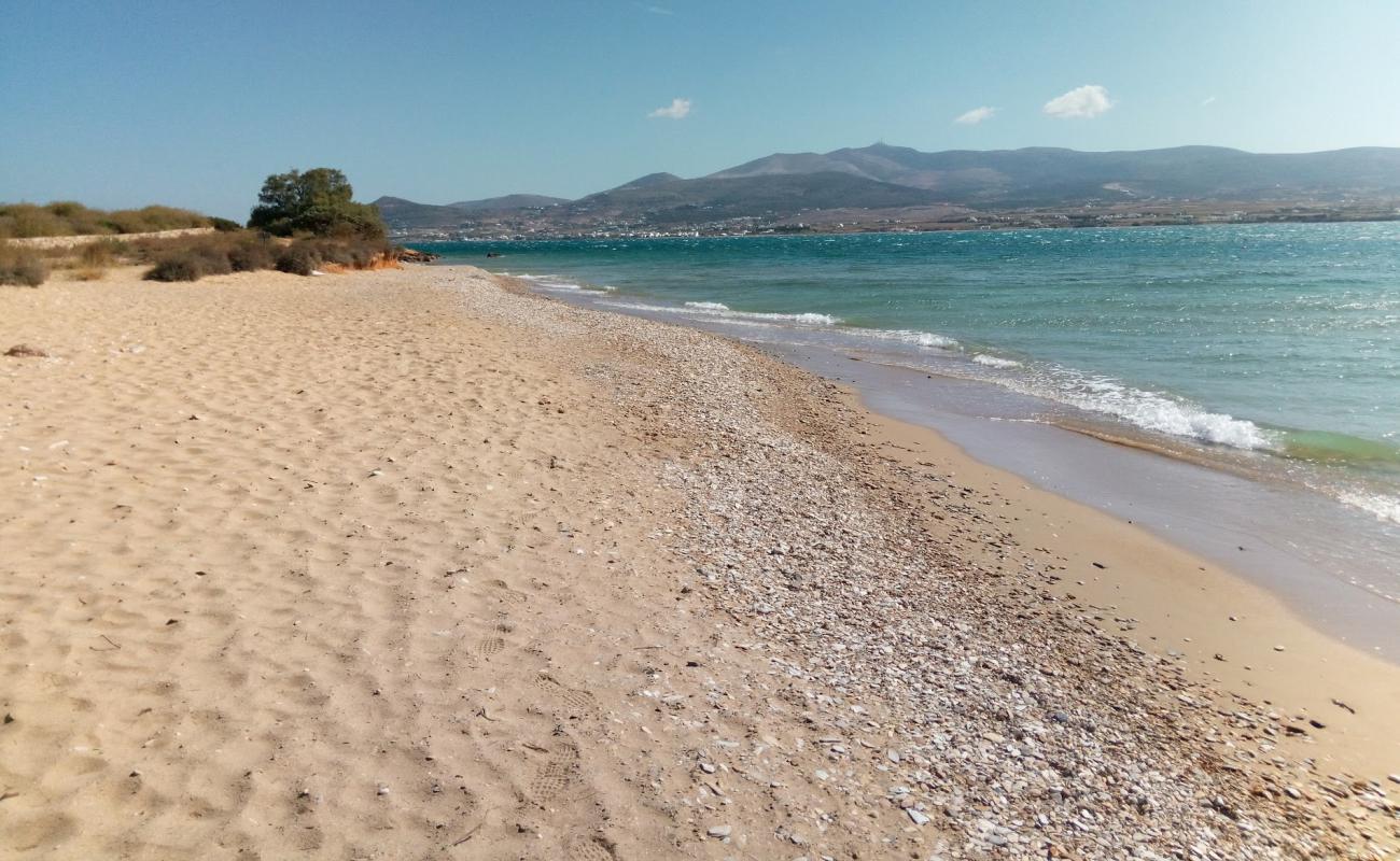 Panagia beach'in fotoğrafı kahverengi kum yüzey ile