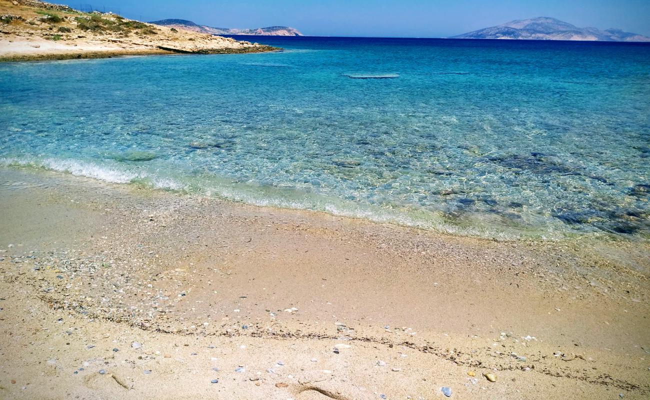 Celandine beach'in fotoğrafı parlak kum yüzey ile