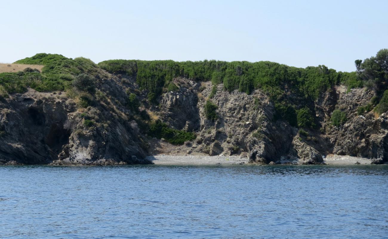 Sithonia beach'in fotoğrafı bej çakıl yüzey ile