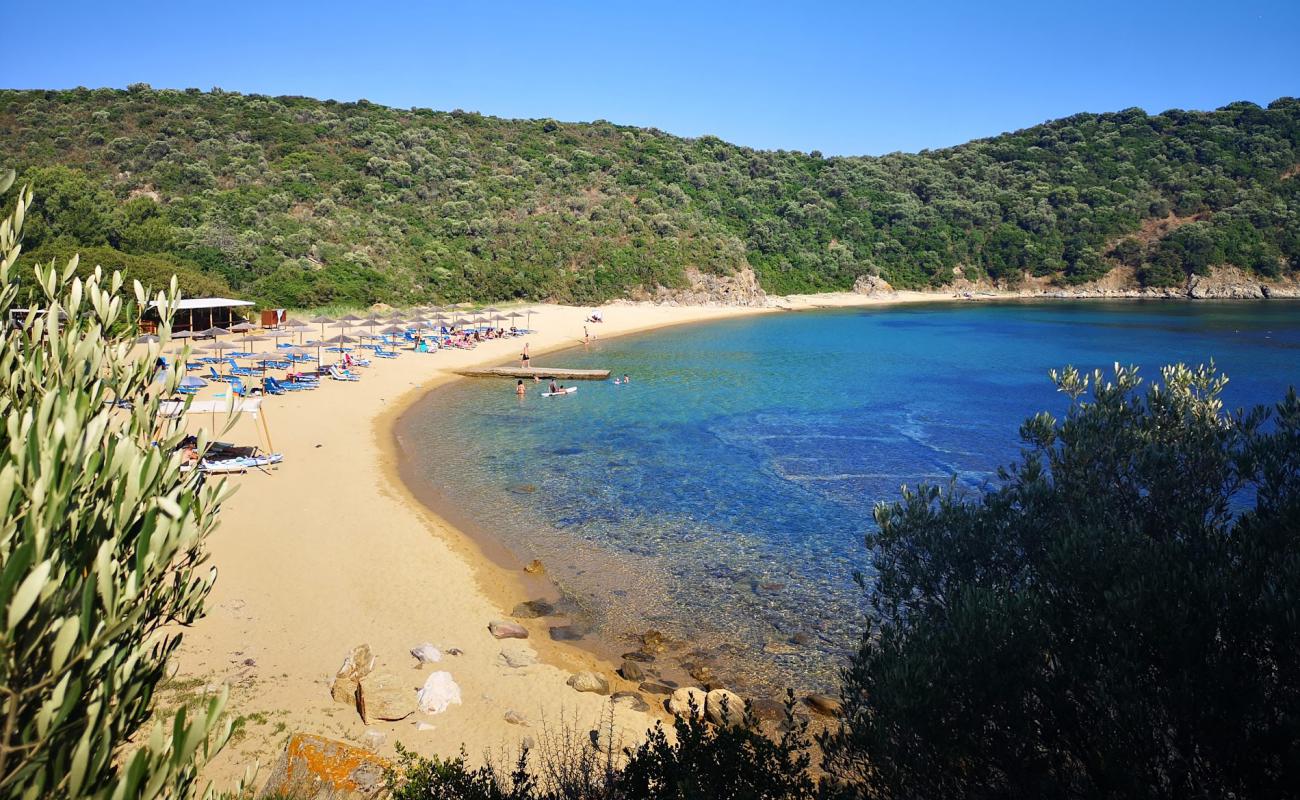 Karagatsia Plajı'in fotoğrafı parlak ince kum yüzey ile