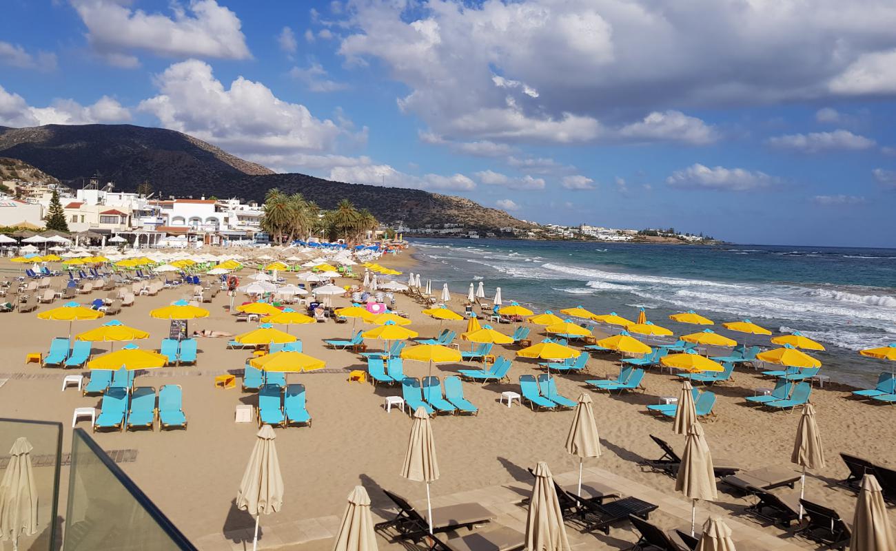 Stalis beach'in fotoğrafı i̇nce kahverengi kum yüzey ile