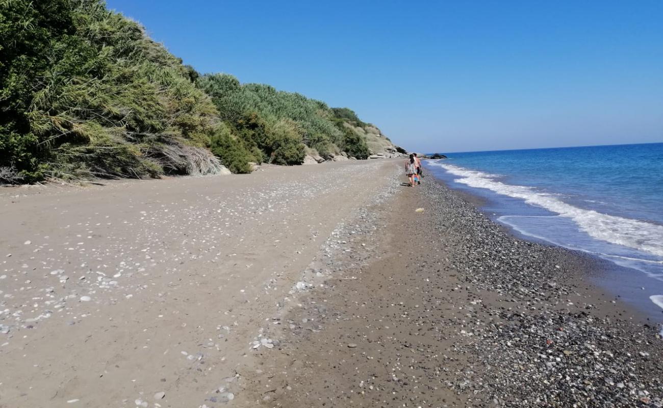Ammoudaron beach'in fotoğrafı siyah kum ve çakıllar yüzey ile