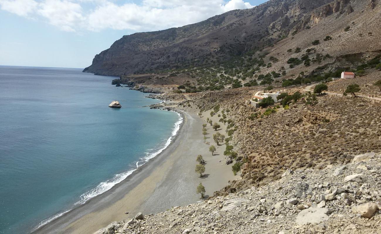 Thick Sand'in fotoğrafı küçük bej çakıl yüzey ile