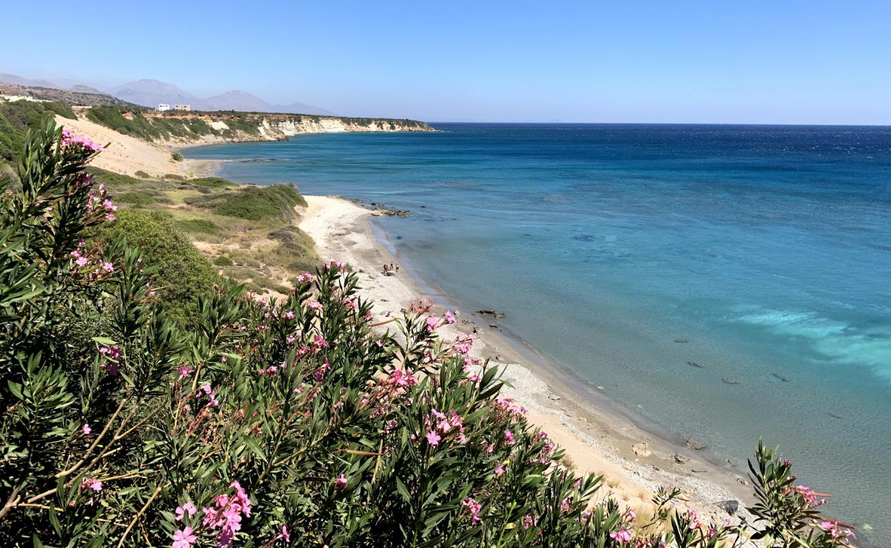 Orthi Ammos'in fotoğrafı kahverengi kum yüzey ile