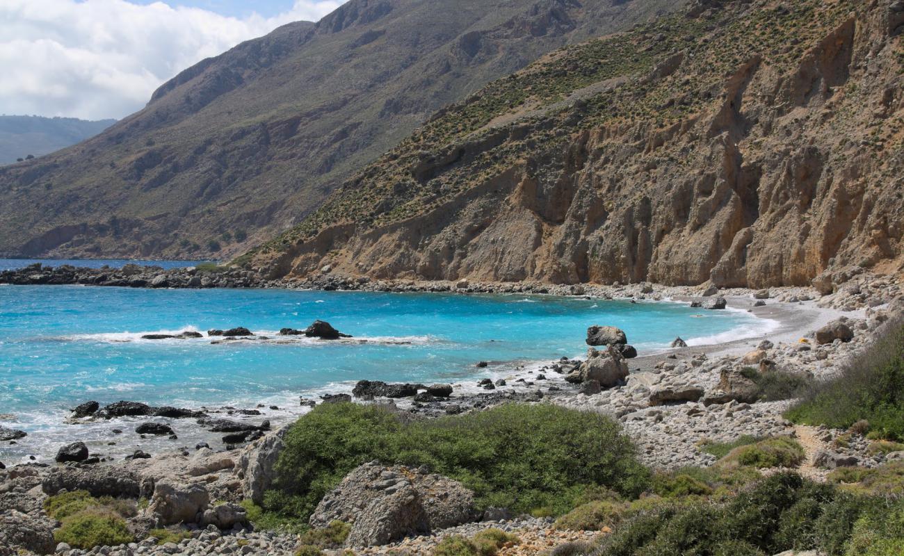 Enclosures beach'in fotoğrafı gri çakıl taşı yüzey ile