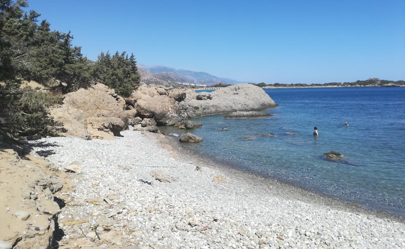 Wild Beach'in fotoğrafı gri kum ve çakıllar yüzey ile