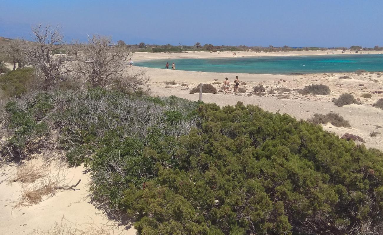 Frangou Mnima'in fotoğrafı açık bej kum yüzey ile