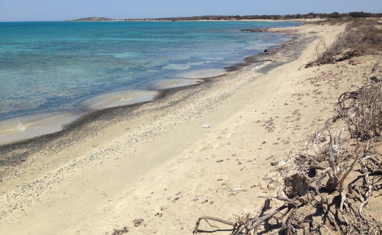 Avlaki beach'in fotoğrafı parlak kum yüzey ile