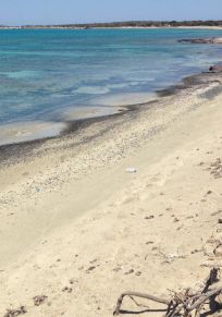 Hrisi Adası