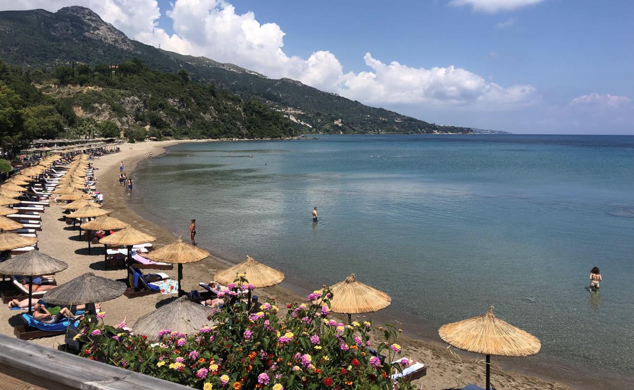 Porto Zorro Beach'in fotoğrafı parlak kum yüzey ile