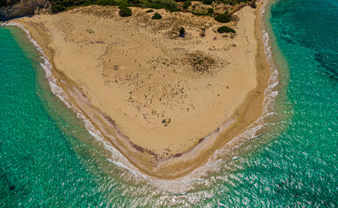 Marathonisi Beach'in fotoğrafı parlak kum yüzey ile