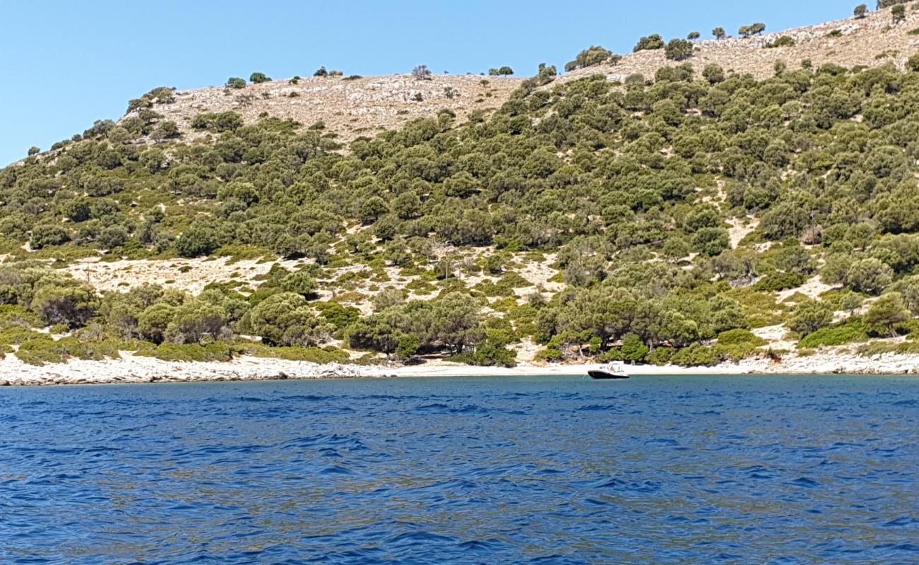 Kastos beach XI'in fotoğrafı bej çakıl yüzey ile