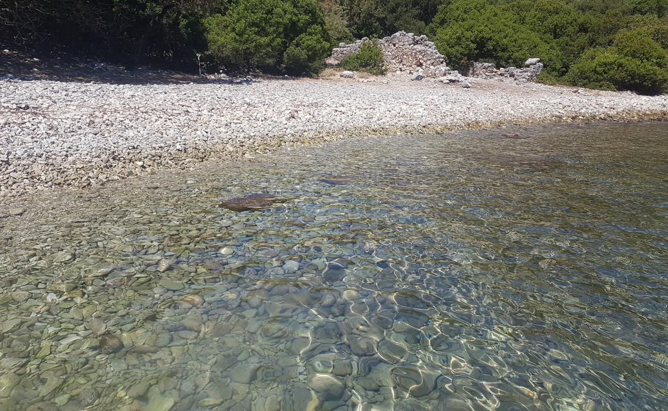 Piglet Bear Bay'in fotoğrafı hafif çakıl yüzey ile