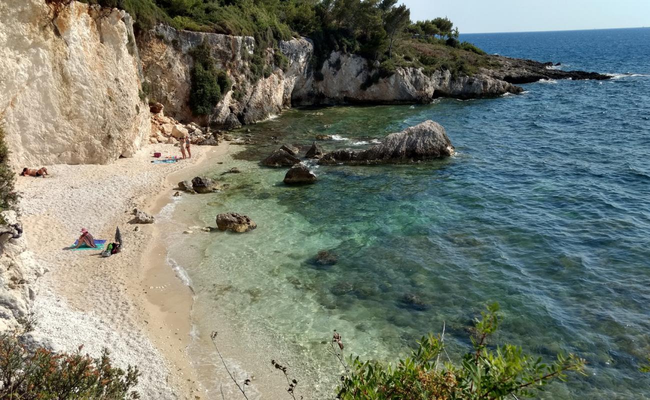 Crocodile beach'in fotoğrafı hafif çakıl yüzey ile