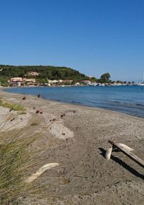 Petriti
