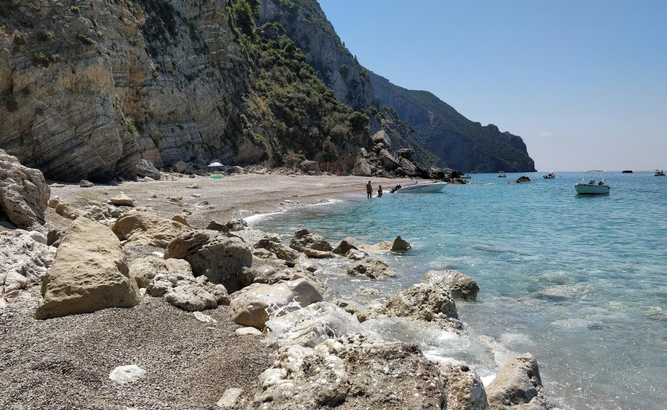 Mikro Stelari'in fotoğrafı gri çakıl taşı yüzey ile