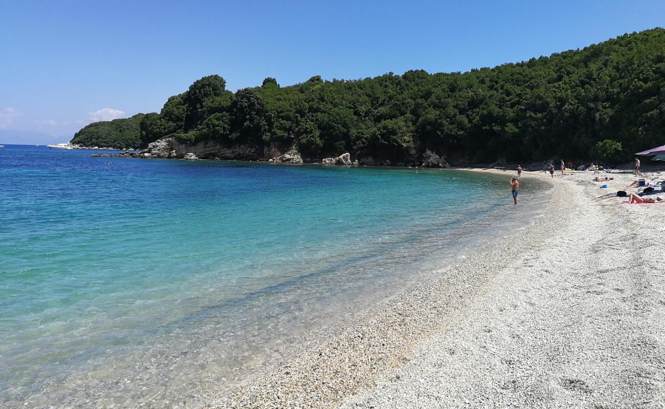 Avlaki Beach'in fotoğrafı hafif ince çakıl taş yüzey ile