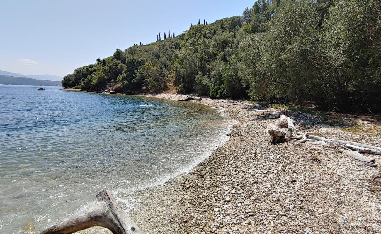 Kassopei beach'in fotoğrafı gri kum ve çakıl yüzey ile