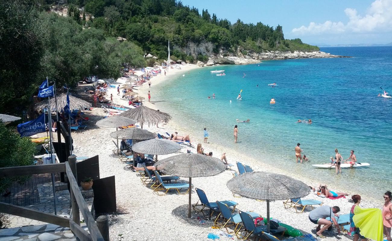 Paralia Monodendri'in fotoğrafı bej çakıl yüzey ile