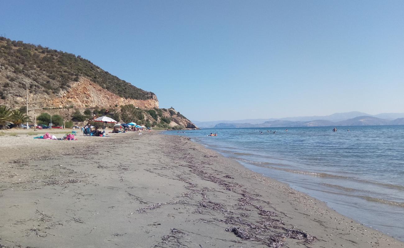 Paliochano Beach'in fotoğrafı gri kum yüzey ile
