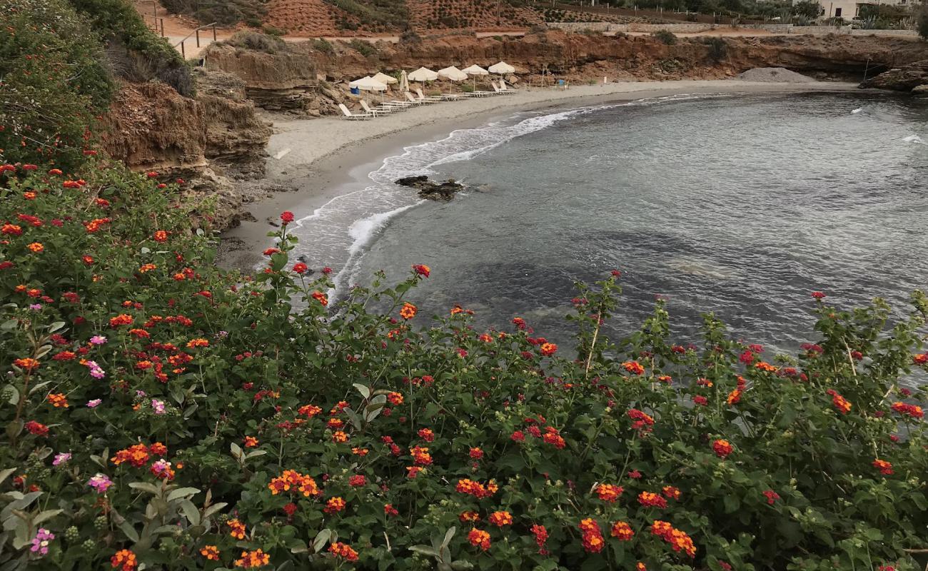 Alas Beach'in fotoğrafı gri kum yüzey ile