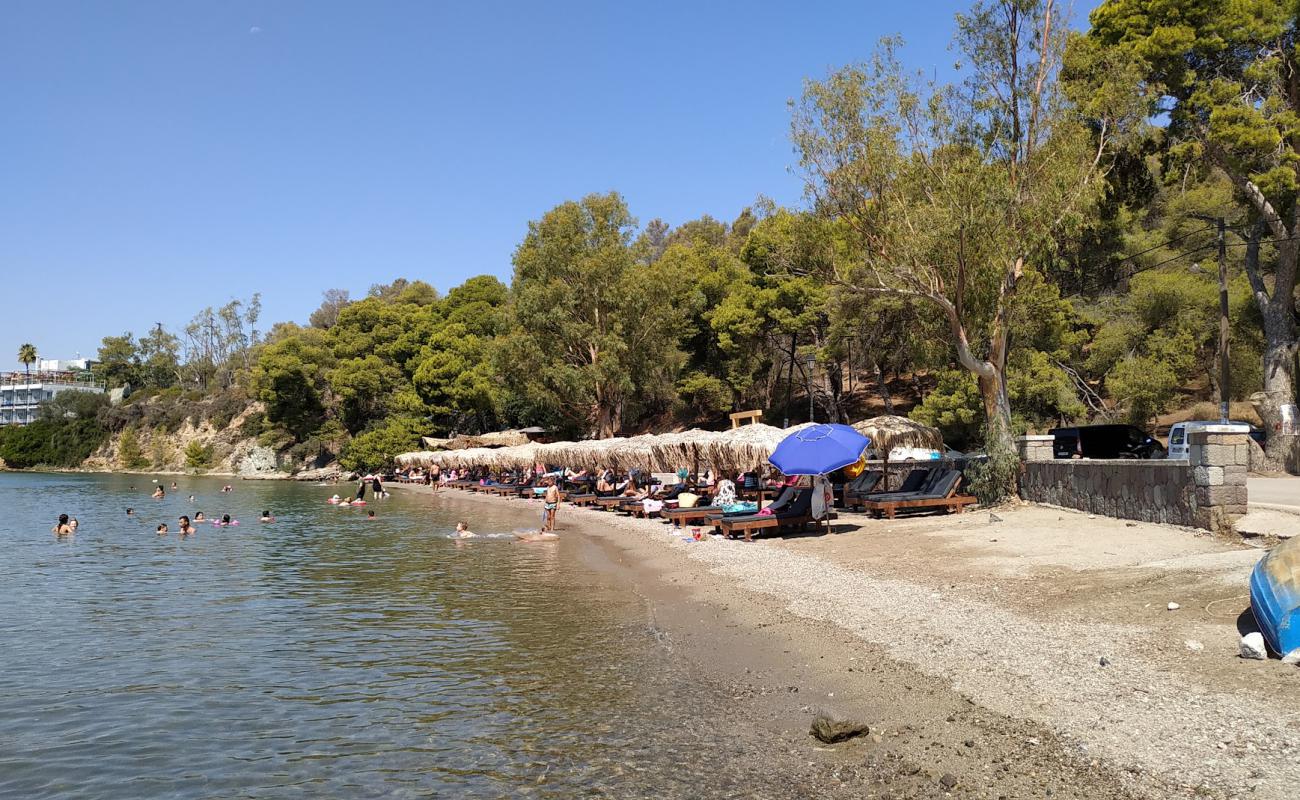 Paralia Mikro Neorio'in fotoğrafı küçük bej çakıl yüzey ile