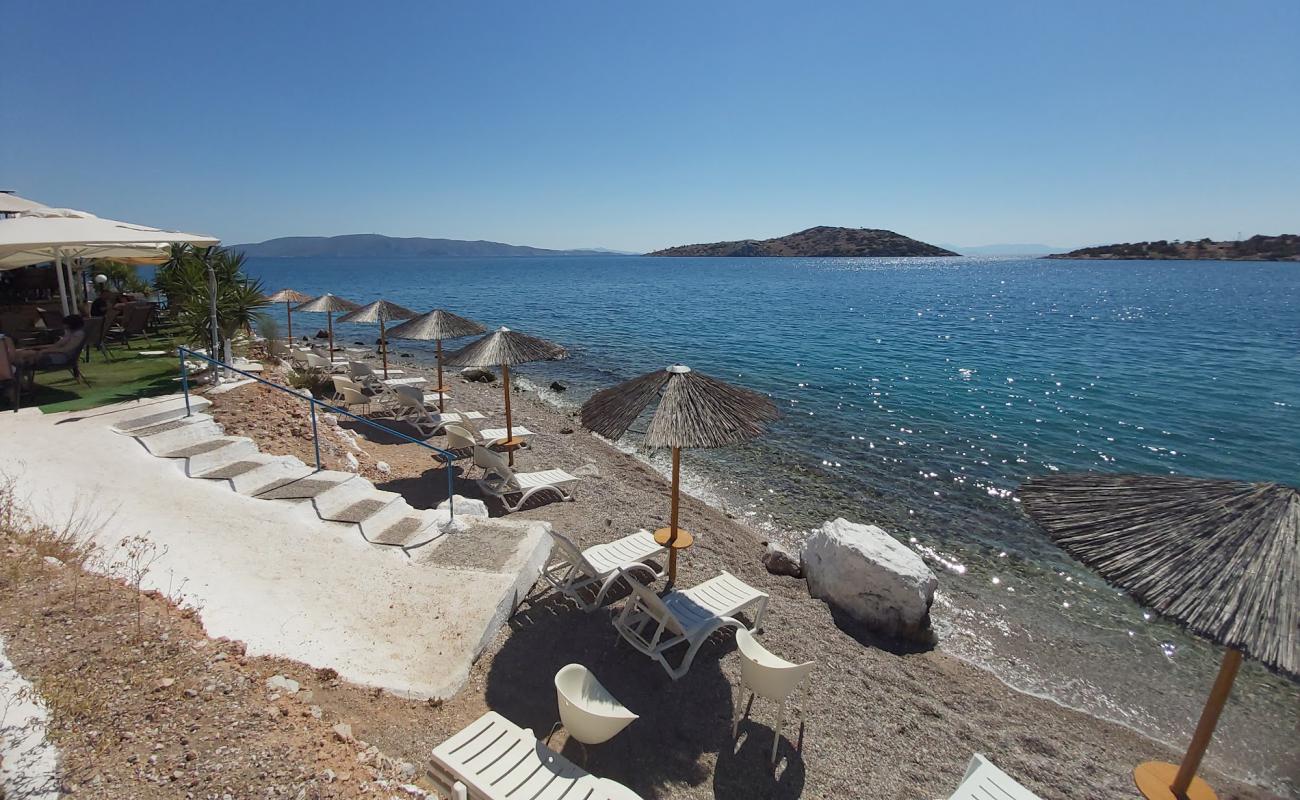 Pachi Beach'in fotoğrafı gri çakıl taşı yüzey ile