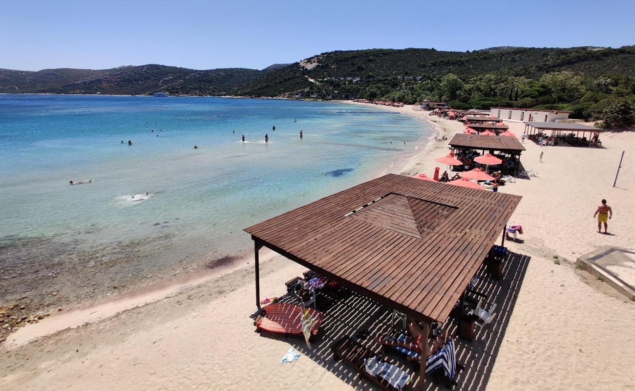Agia Marina Beach'in fotoğrafı açık bej kum yüzey ile