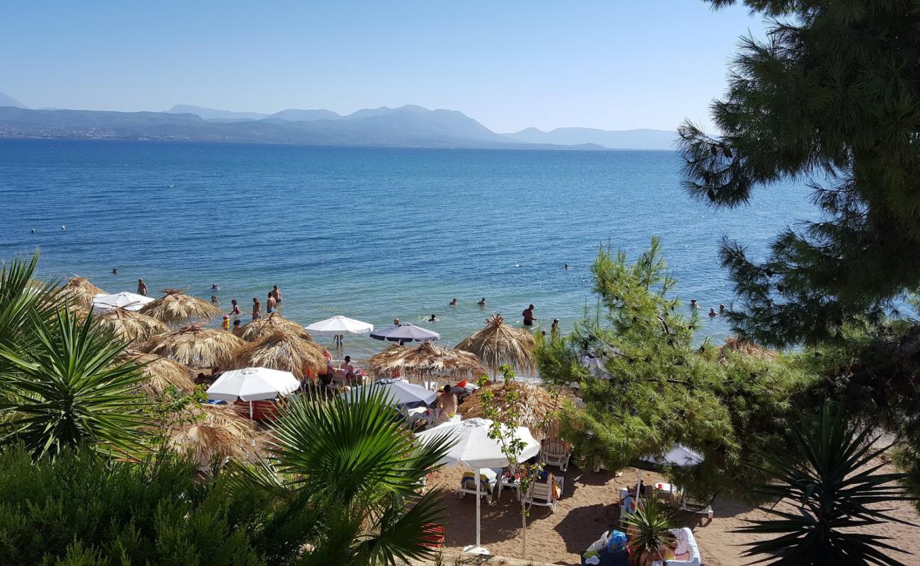 Paralia Avlidas'in fotoğrafı açık bej kum yüzey ile