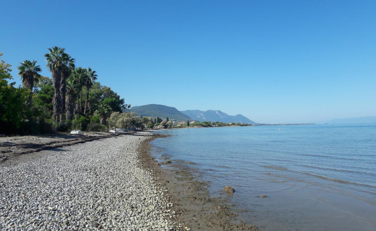 Kalipso Beach'in fotoğrafı gri çakıl taşı yüzey ile