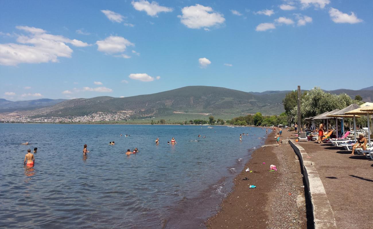 Interstation Stylidos Beach'in fotoğrafı gri kum ve çakıllar yüzey ile