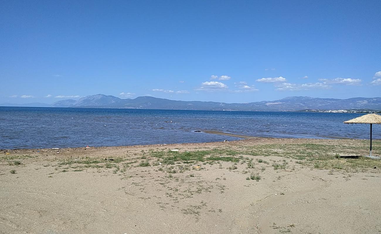 Paralia Liani Ammos'in fotoğrafı gri kum yüzey ile