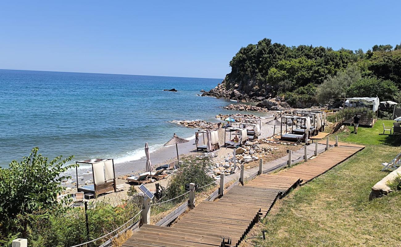 Kalivi Beach'in fotoğrafı gri çakıl taşı yüzey ile