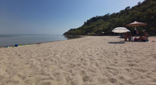 Kavourina Beach