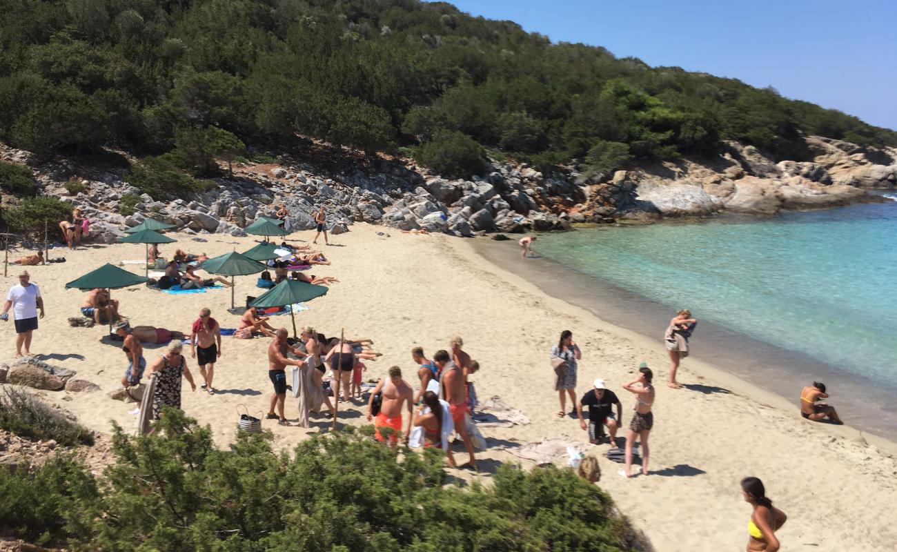 Samiopoula Beach'in fotoğrafı açık bej kum yüzey ile