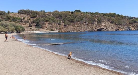 Paralia Meli