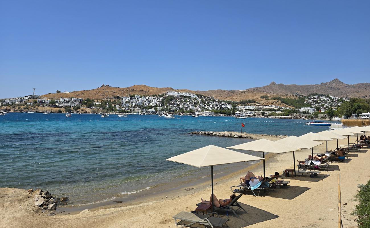 Kefaluka Resort Beach'in fotoğrafı açık bej kum yüzey ile