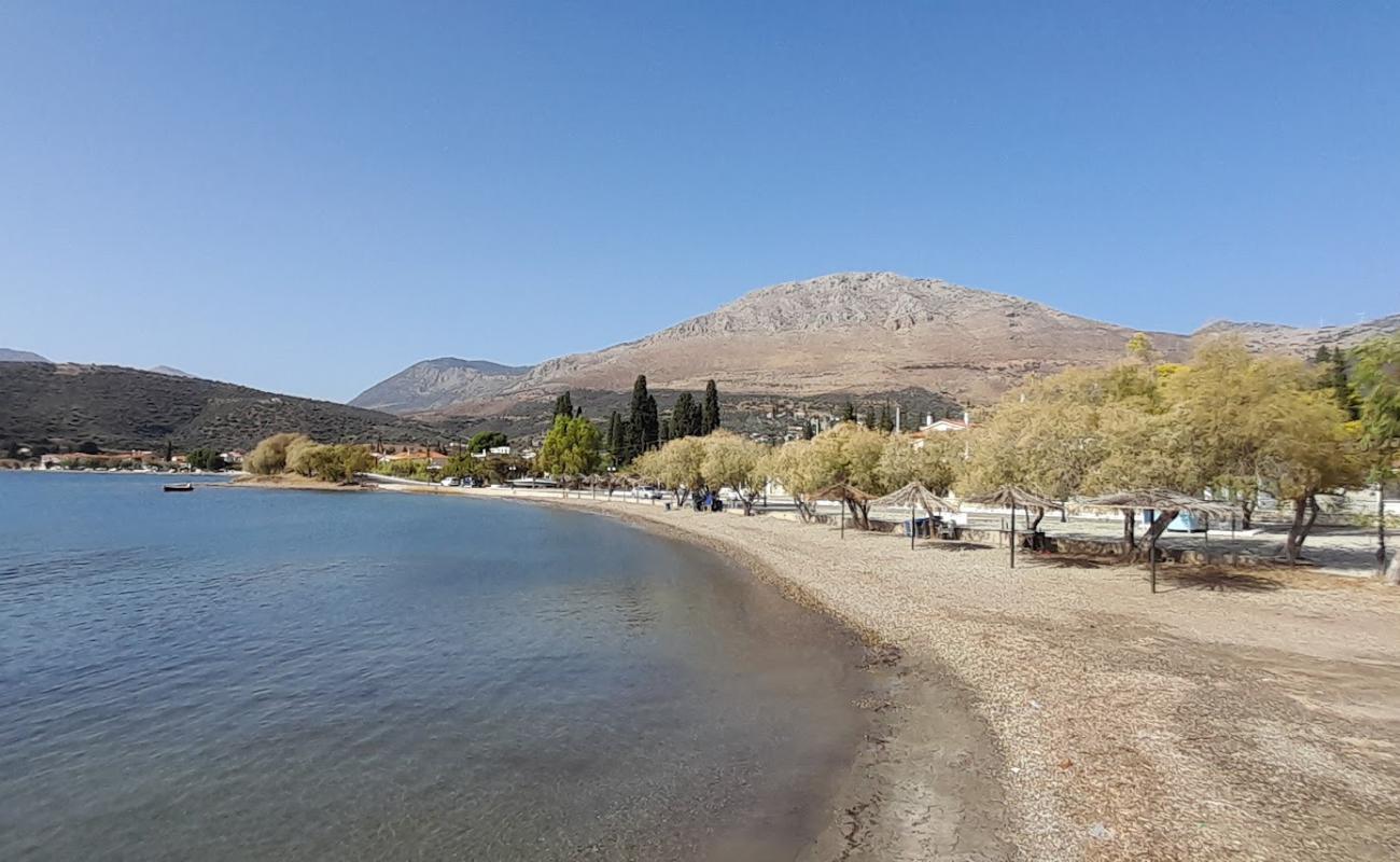 Panormos Beach'in fotoğrafı gri çakıl taşı yüzey ile