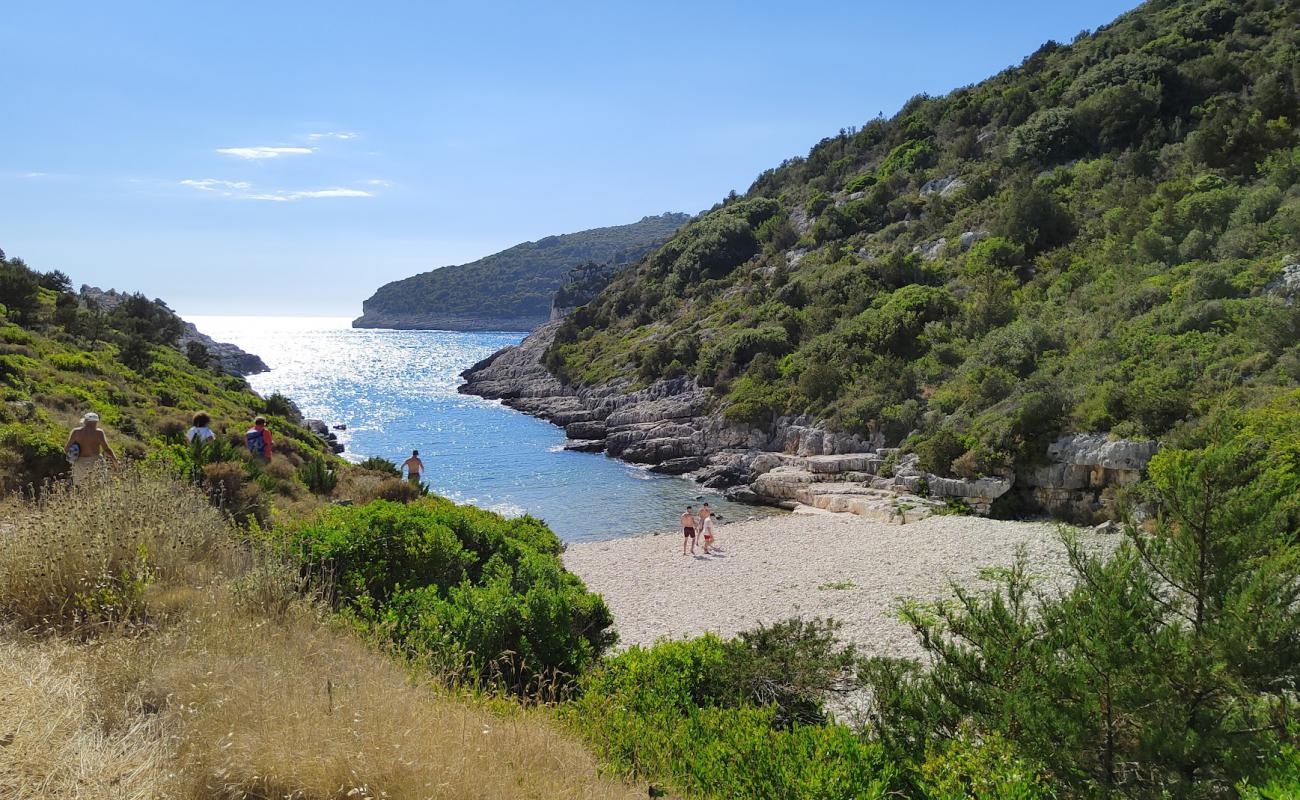 Avlaki Beach'in fotoğrafı kayalık arazi yüzey ile