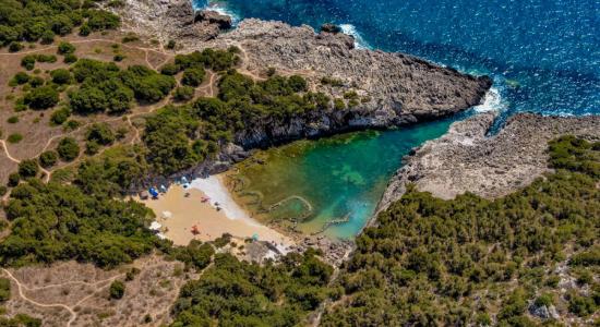 Paralia Glossa