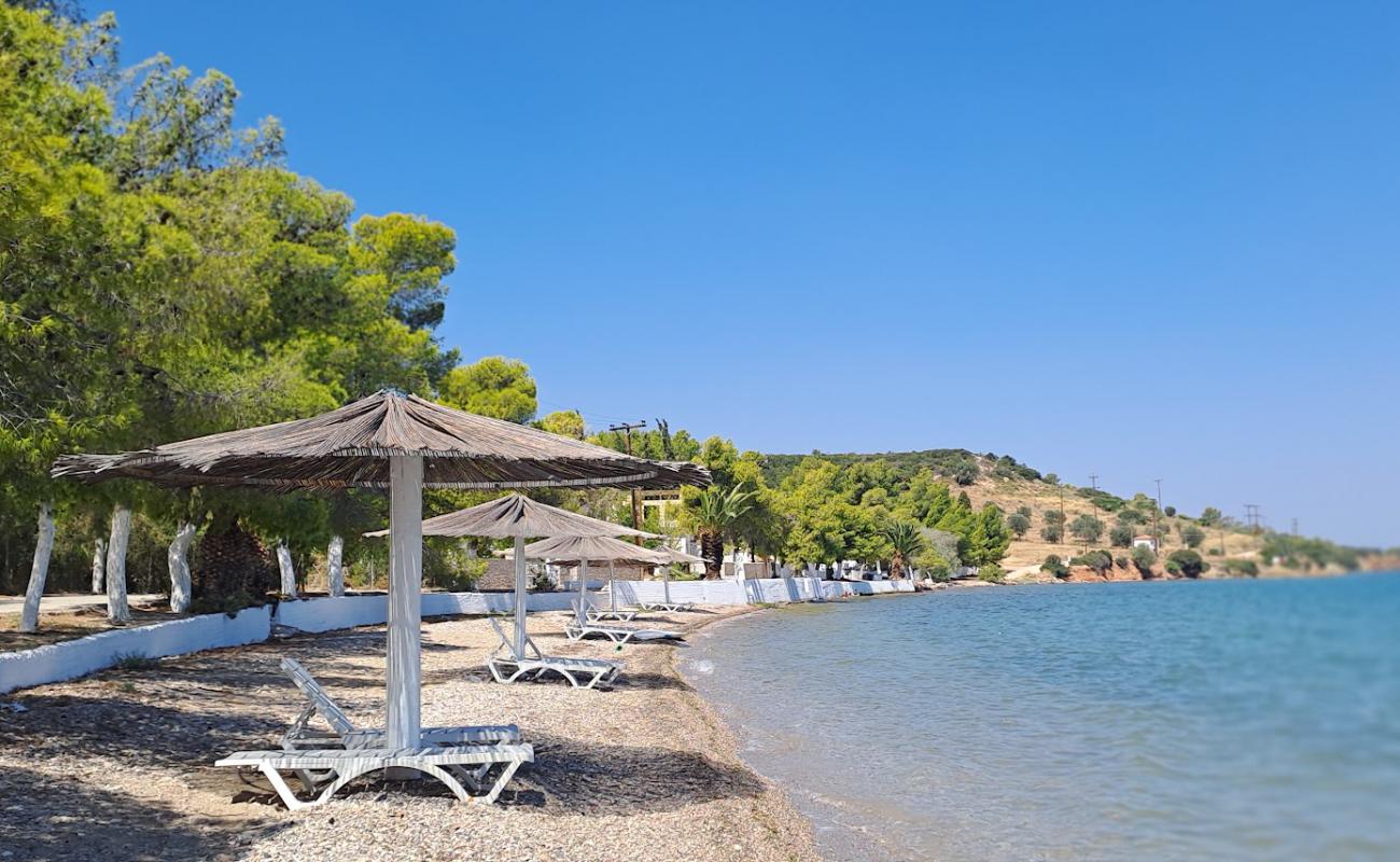 Evangelistria Beach'in fotoğrafı küçük gri çakıllar yüzey ile