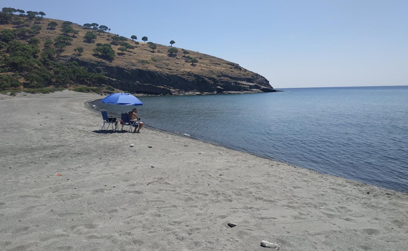 Paralia Trigari'in fotoğrafı gri kum yüzey ile