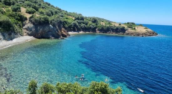 Fortress Beach