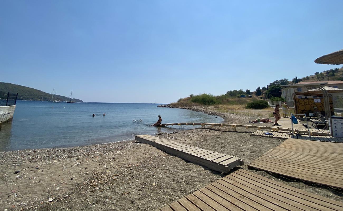 Paralia Agiou Stefanou'in fotoğrafı taşlı kum yüzey ile