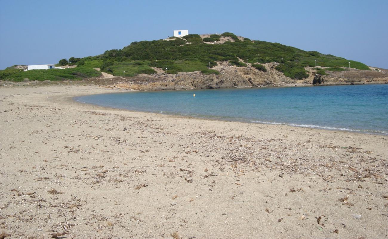 Paralia Theotokos'in fotoğrafı açık bej kum yüzey ile