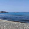 Beach Papalia